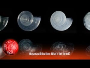Ocean Acidification: What's the threat?