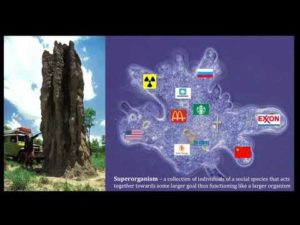 Our Social Natures - Part 2 (The Superorganism and Culture) | Brain & Behavior 6/10