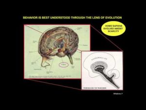 Dopamine, Wanting and Addiction - Part 1 | Brain & Behavior 3/10