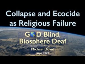 Collapse and Ecocide as Religious Failure