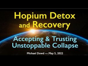 Hopium Detox and Recovery - Accepting & Trusting Unstoppable Collapse