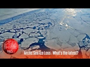 Arctic Sea Ice Loss: What's the latest?