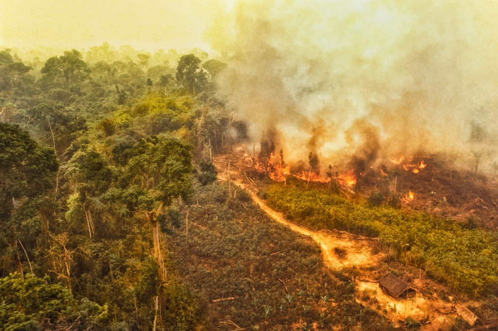 Erdőtűz, Amazonas