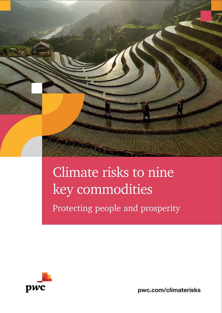 Climate Risks to Nine Key Commodities