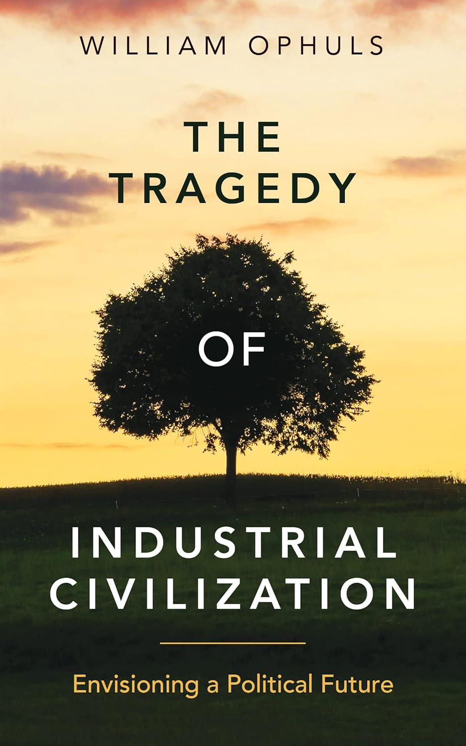 The Tragedy of Industrial Civilization Envisioning a Political Future