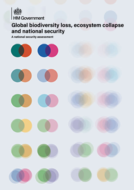 Global biodiversity loss, ecosystem collapse and national security