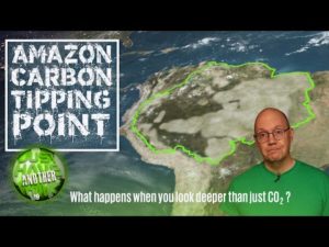 Is the Amazon rainforest now releasing more carbon dioxide that's absorbing?