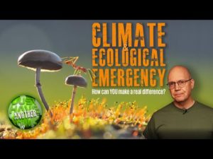 Climate and Ecological Emergency. Can you really make a difference?