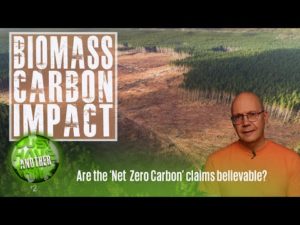 The global Biomass scam