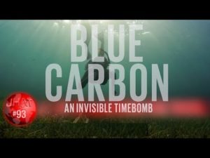 Ocean Carbon Dioxide levels. An invisible time bomb?